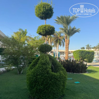 фото из отзыва ID 2735267