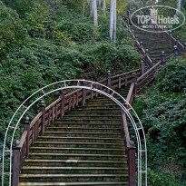 фото из отзыва ID 2735254