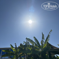 фото из отзыва ID 2734292