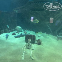 фото из отзыва ID 2734292