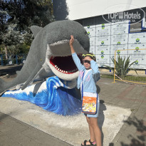 фото из отзыва ID 2734292