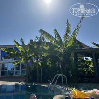 фото из отзыва ID 2734292