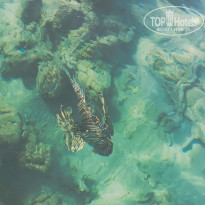 фото из отзыва ID 2735291