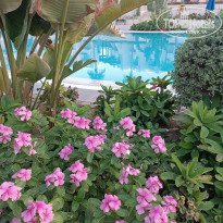 фото из отзыва ID 2735291