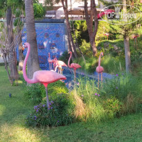 фото из отзыва ID 2735287