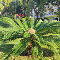 фото из отзыва ID 2735287