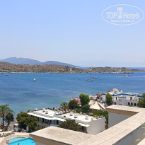 фото из отзыва ID 2735300