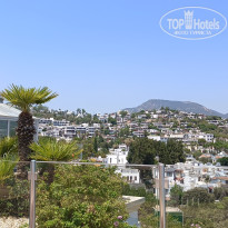 фото из отзыва ID 2735300