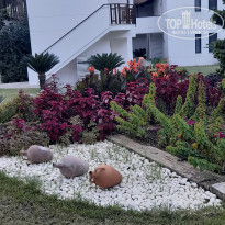 фото из отзыва ID 2735306