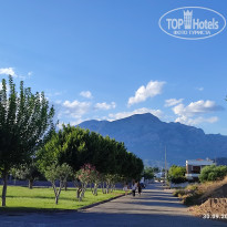 фото из отзыва ID 2735316