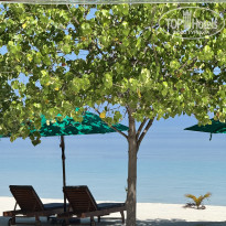 фото из отзыва ID 2735314