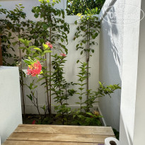 фото из отзыва ID 2735314