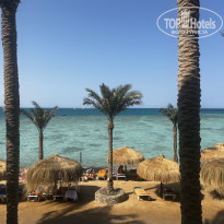 фото из отзыва ID 2735364