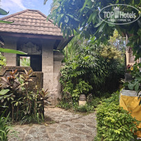 фото из отзыва ID 2735386