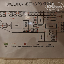 фото из отзыва ID 2735386