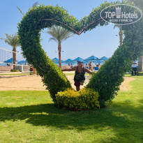 фото из отзыва ID 2735390