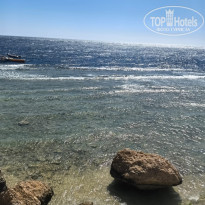 фото из отзыва ID 2735416