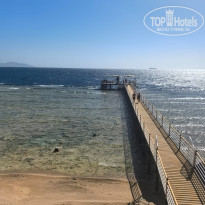 фото из отзыва ID 2735416