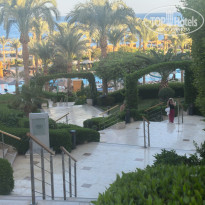 фото из отзыва ID 2735416