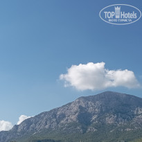 фото из отзыва ID 2735430