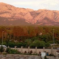 фото из отзыва ID 2735430