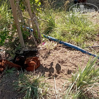 фото из отзыва ID 2735430