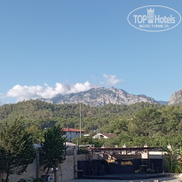 фото из отзыва ID 2735430