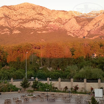 фото из отзыва ID 2735430