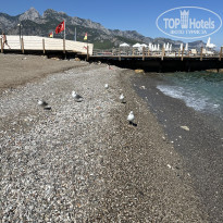 фото из отзыва ID 2735444