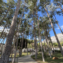 фото из отзыва ID 2735444