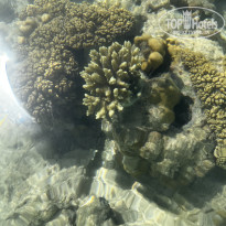 фото из отзыва ID 2735364