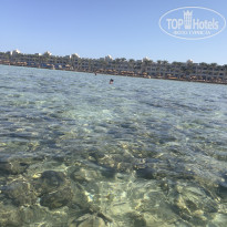 фото из отзыва ID 2735364