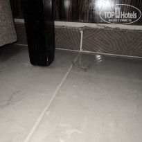 фото из отзыва ID 2735490