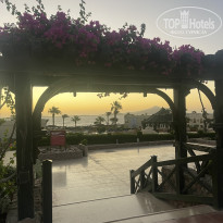 фото из отзыва ID 2735464