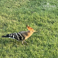 фото из отзыва ID 2735464