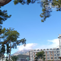 фото из отзыва ID 2735496