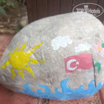 фото из отзыва ID 2735496