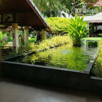 фото из отзыва ID 2735497