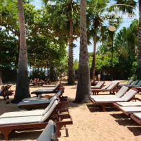 фото из отзыва ID 2735497