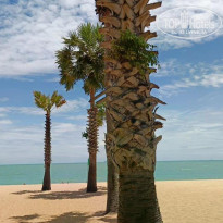 фото из отзыва ID 2735497