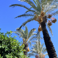 фото из отзыва ID 2735498