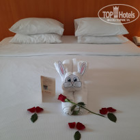 фото из отзыва ID 2735502