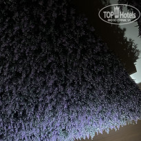 фото из отзыва ID 2735511