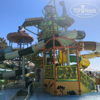 фото из отзыва ID 2735515