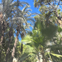 фото из отзыва ID 2735515