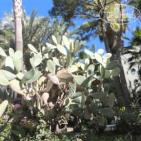 фото из отзыва ID 2735515