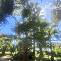 фото из отзыва ID 2735515