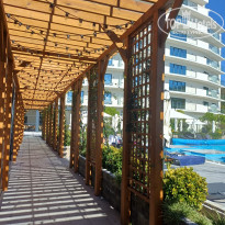 фото из отзыва ID 2735545