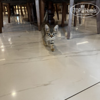 фото из отзыва ID 2735582