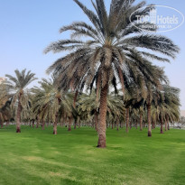 фото из отзыва ID 2735583